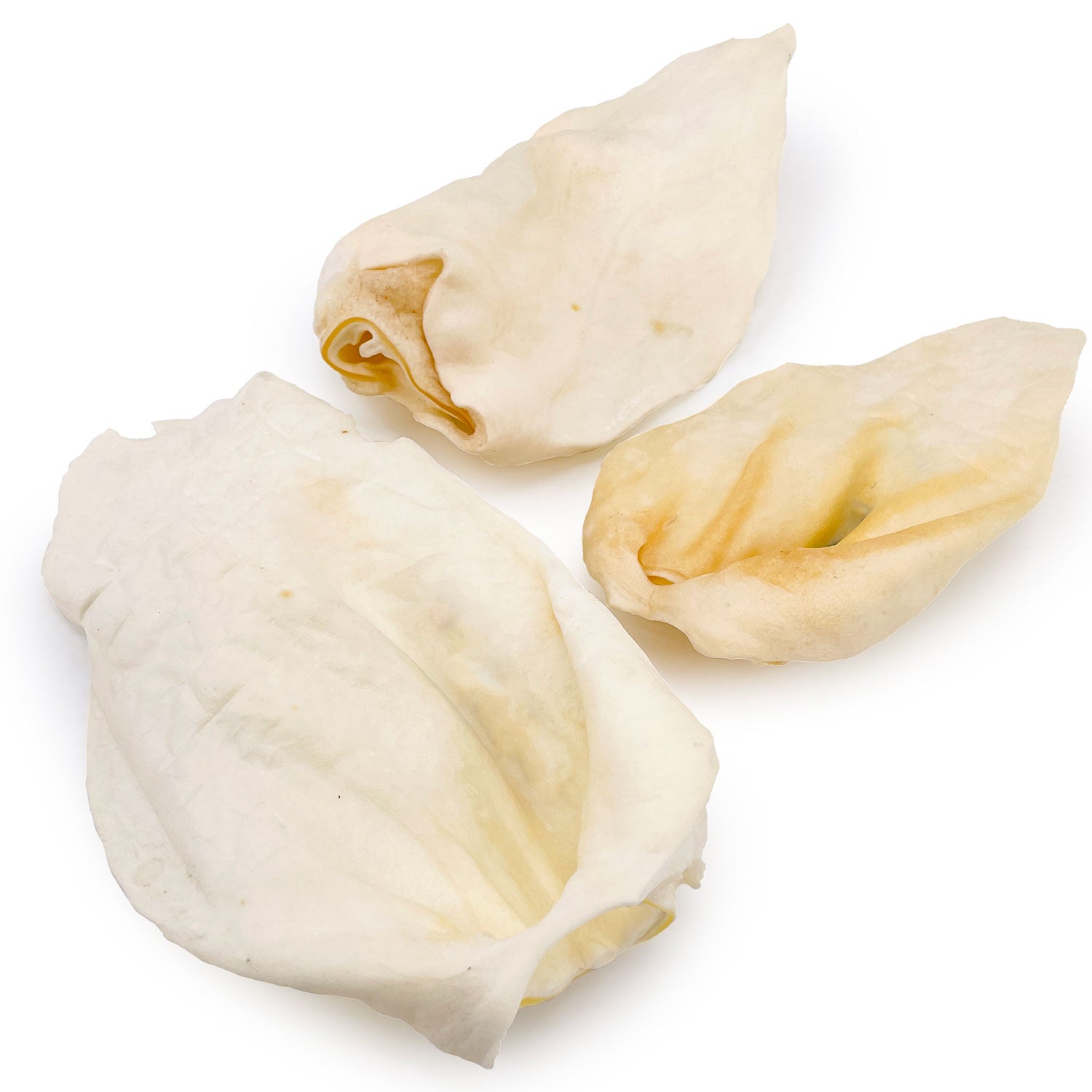 ValueBull Premium Cow Ears, Large, 100 Count Count BULK PACK - Large - 100 Ears