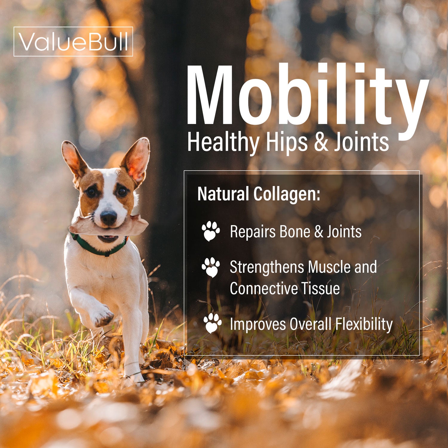 ValueBull USA Collagen Chips Dog Chews, Natural Long-Lasting Dog Treats, 400 Count Wholesale Pack - Natural - 400 Chips