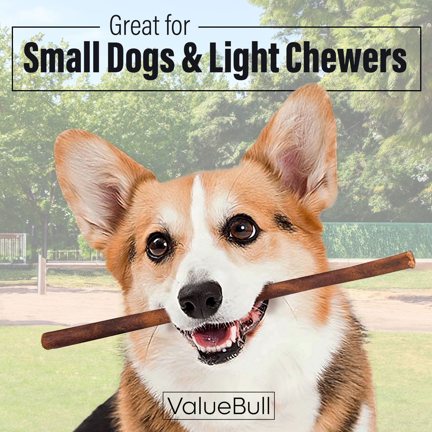 ValueBull Collagen Sticks for Small Dogs, 12 Inch Thin Chews, Natural Dog Treats, 200 Count Bulk Pack - Thin - 200 Sticks