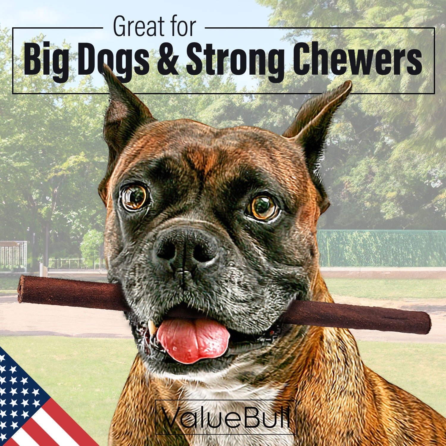 ValueBull USA Collagen Sticks for Dogs, 12 Inch Thick Chews, Natural Long-Lasting Dog Treats, 10 Count - Thick - 10 Count