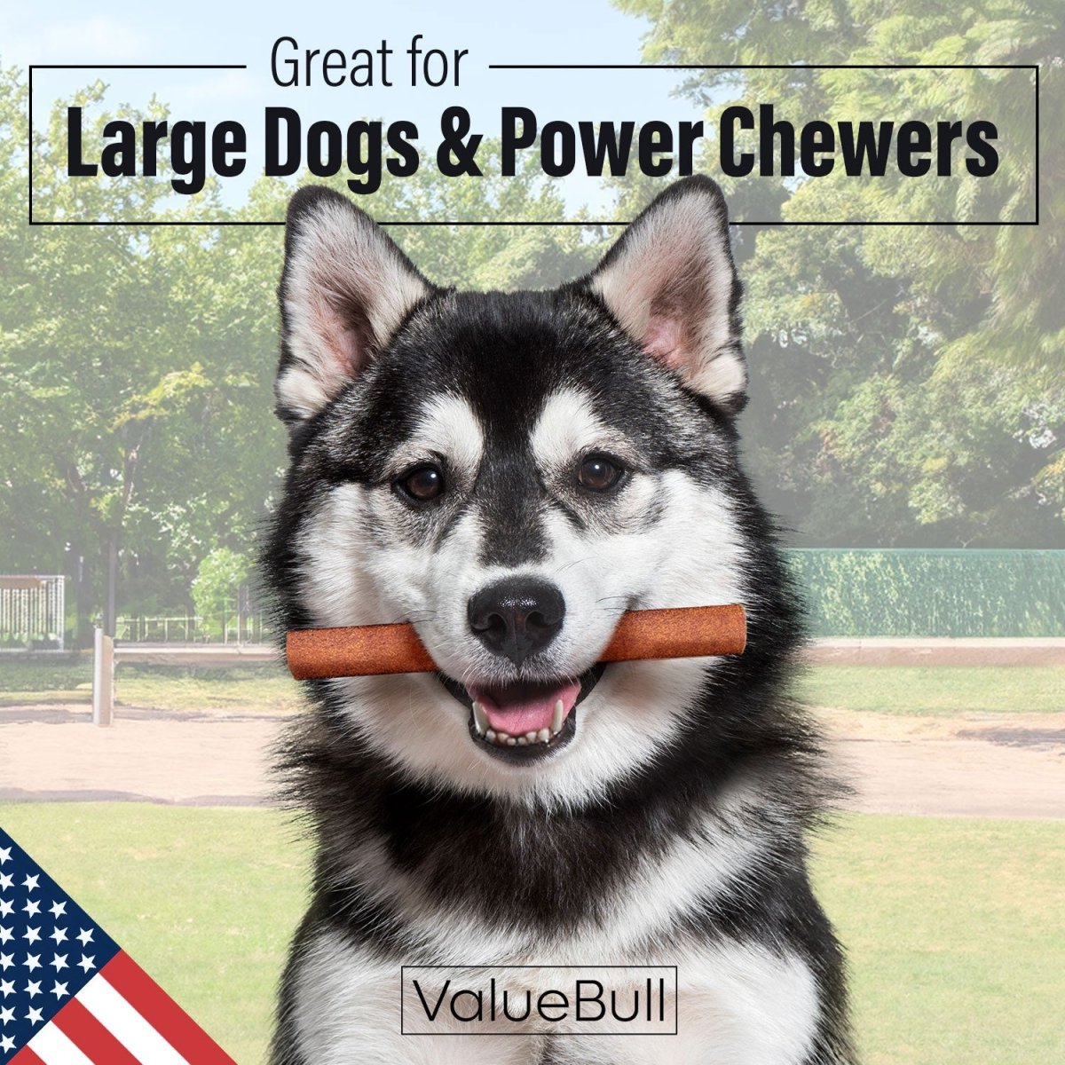 ValueBull USA Collagen Sticks for Dogs, 6 Inch Jumbo Chews, Natural Long-Lasting Dog Treats, 200 Count Bulk Pack - Jumbo - 200 Sticks