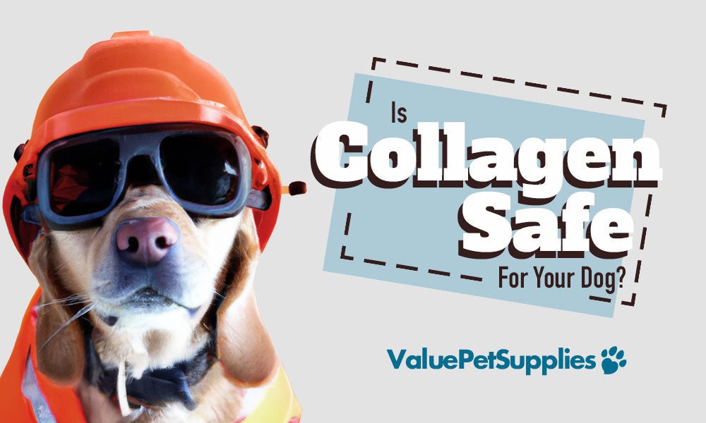 Are Collagen Chews Safe For Dogs - Valuepetsupplies