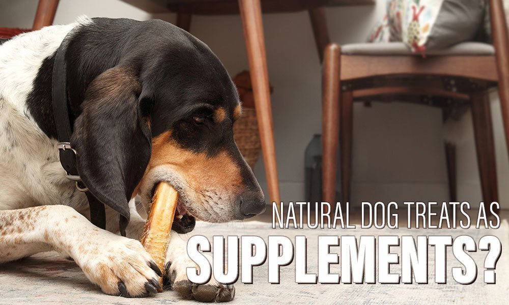 Are Dog Treats the Best Supplement? Why Natural Dog Chews Beat Factory-Made Pills - Valuepetsupplies