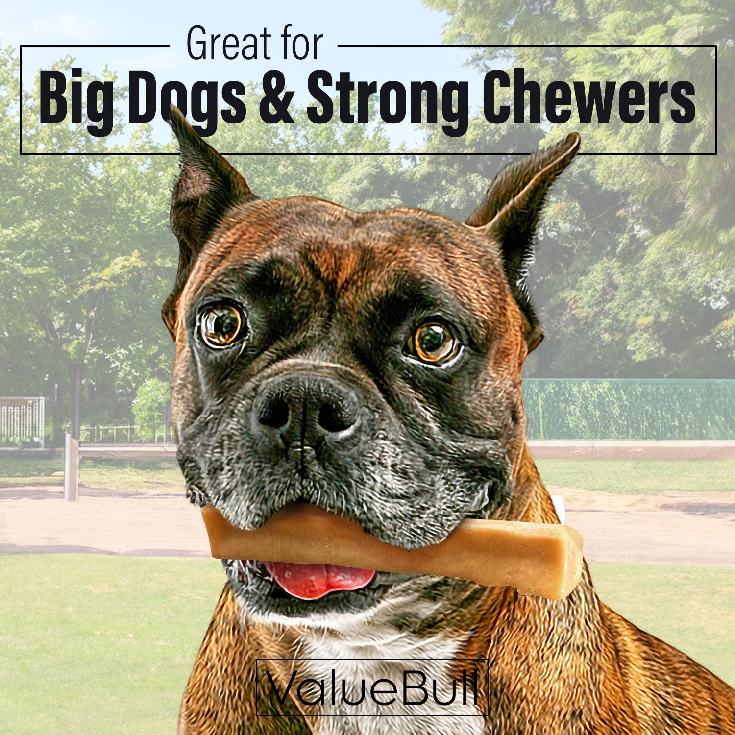 ValueBull Himalayan Yak Cheese Dog Chews, Large, 4 lb - Large