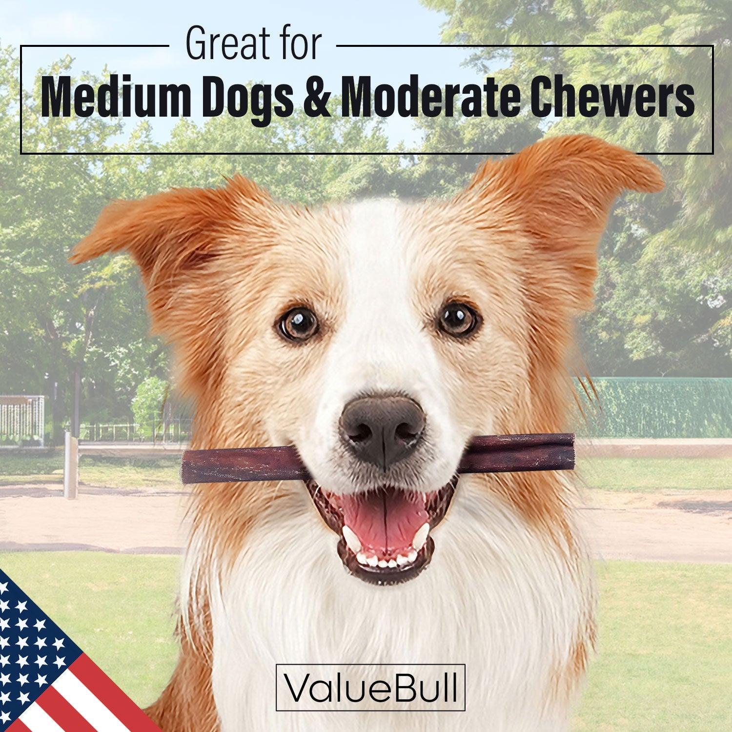 ValueBull USA Collagen Sticks for Dogs, 6 Inch Medium Chews, Natural Long-Lasting Dog Treats, 25 Count - Medium - 25 Sticks