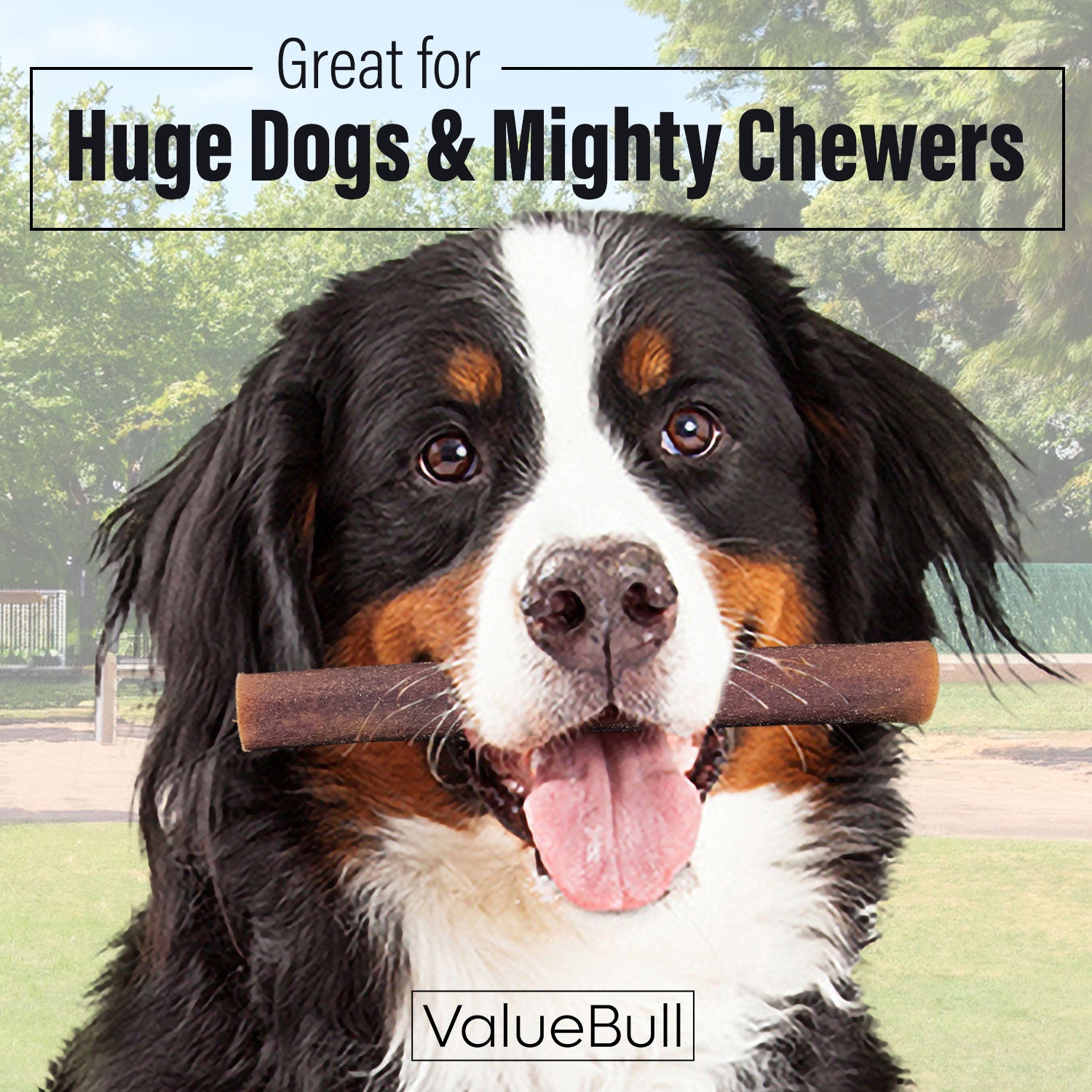 ValueBull Collagen Sticks for Dogs, 6 Inch Super Jumbo Chews, Natural Long-Lasting Dog Treats, 200 Count Bulk Pack - X-Jumbo - 200 Sticks