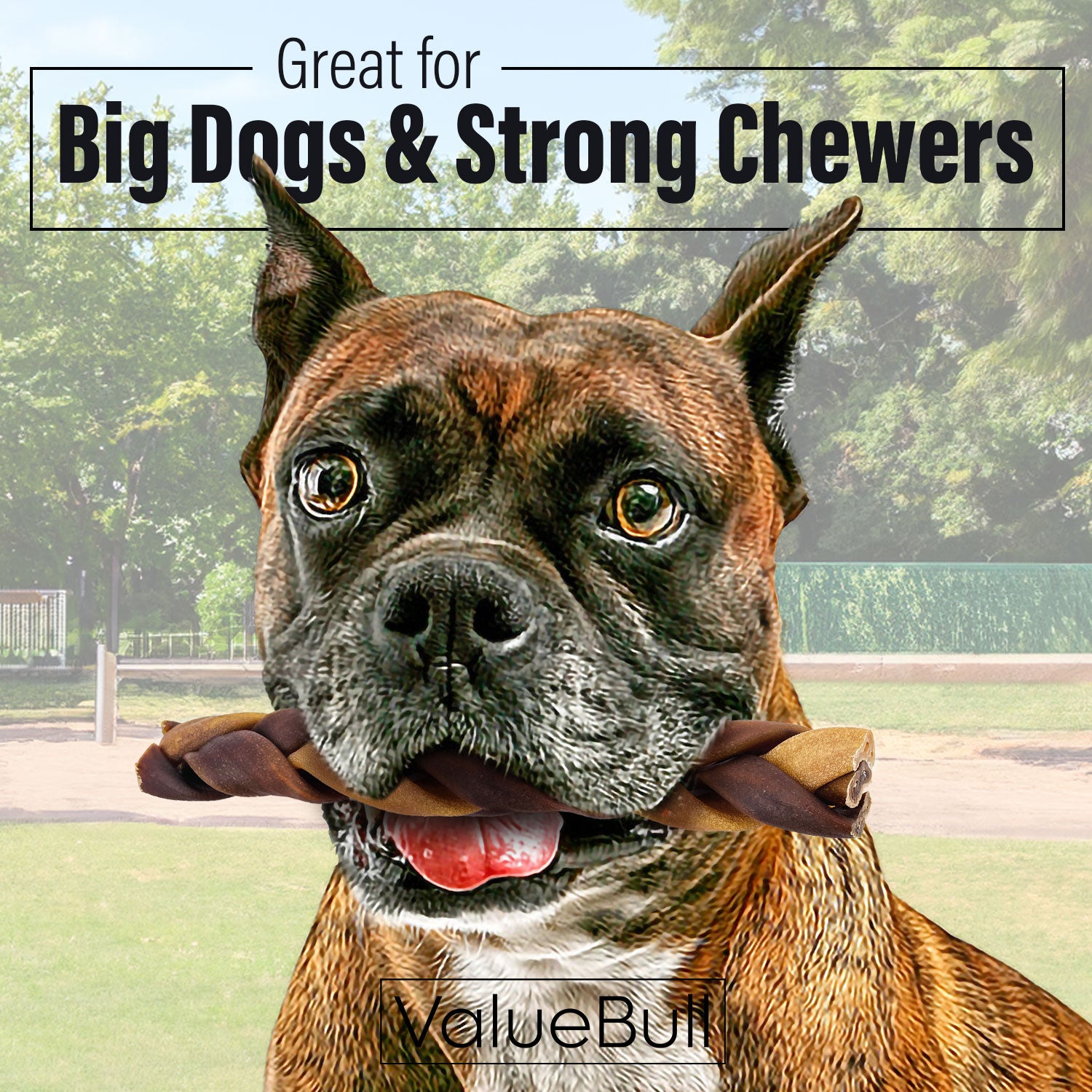 ValueBull Collagen Braided Sticks for Dogs, 6 Inch Thick Chews, Natural Long-Lasting Dog Treats, 200 Count Bulk Pack - Thick - 200 Braids