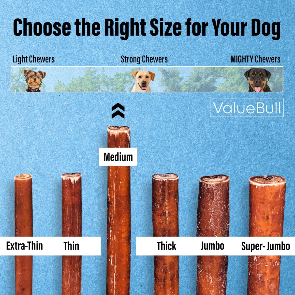 ValueBull Bully Sticks for Dogs, Medium 6 Inch, 200 Count Bulk Pack - Medium - 200 Sticks