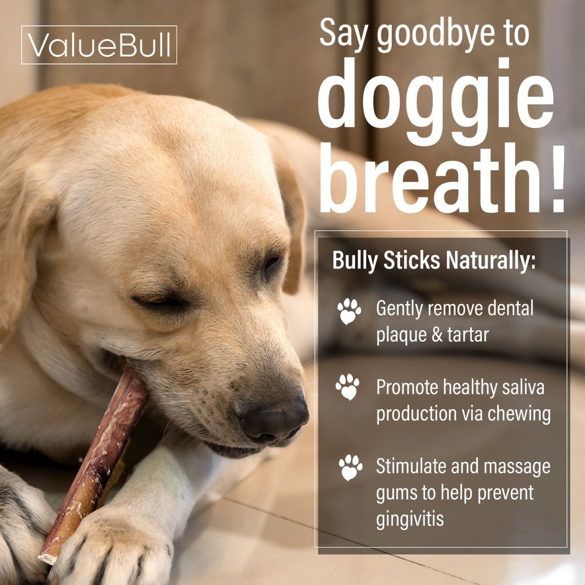 ValueBull Bully Sticks for Dogs, Medium 6 Inch, 200 Count Bulk Pack - Medium - 200 Sticks