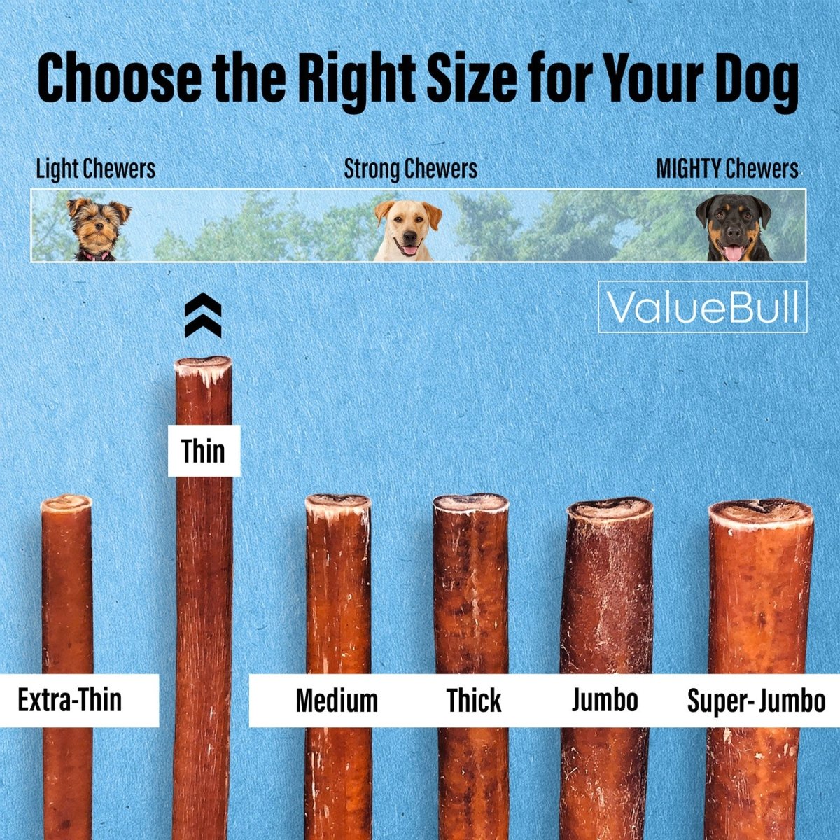 ValueBull Bully Sticks for Small Dogs, Thin 6 Inch, 400 Count Wholesale Pack - Thin - 400 Sticks