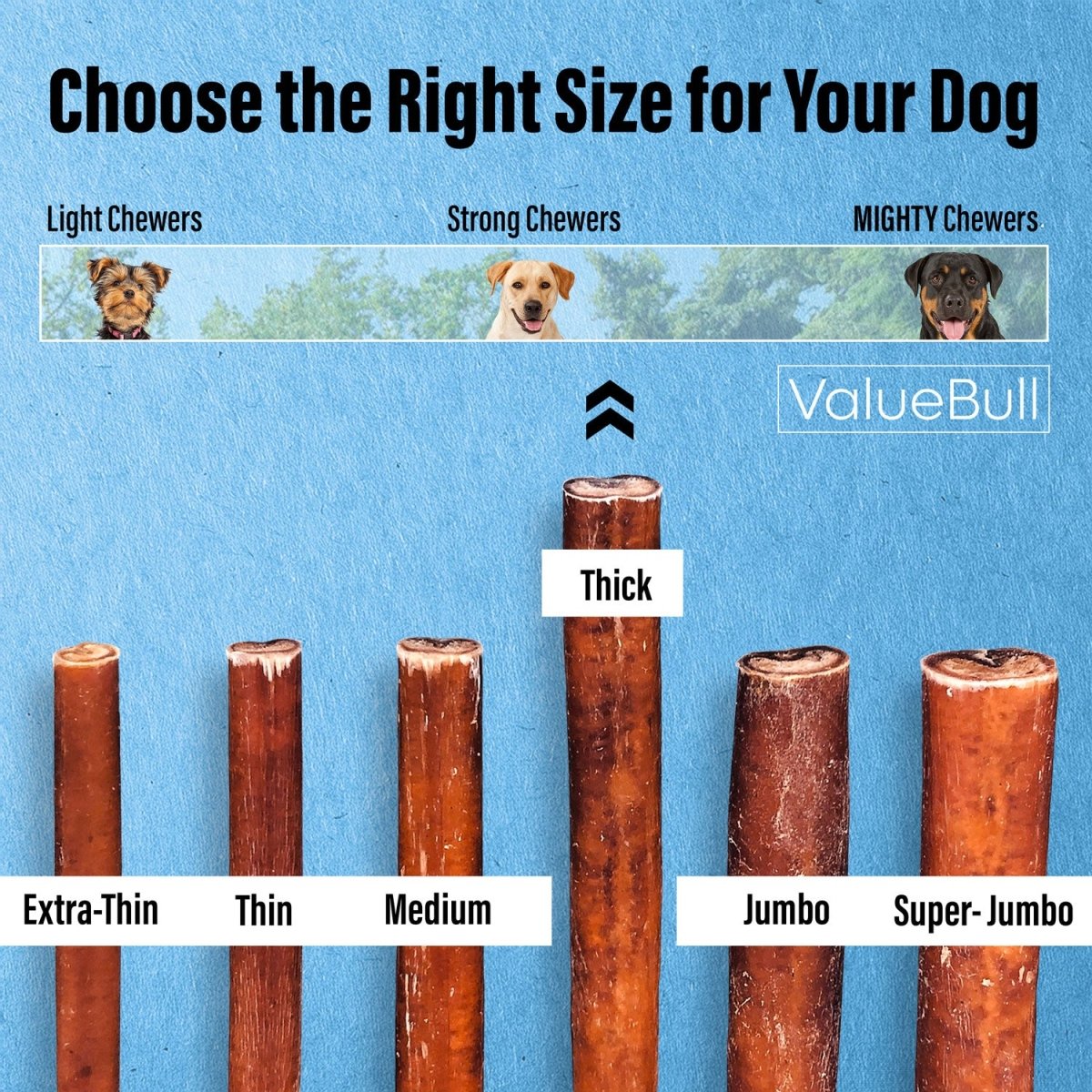 ValueBull Bully Sticks for Large Dogs, Thick 6 Inch, 100 Count Bulk Pack - Thick - 100 Sticks