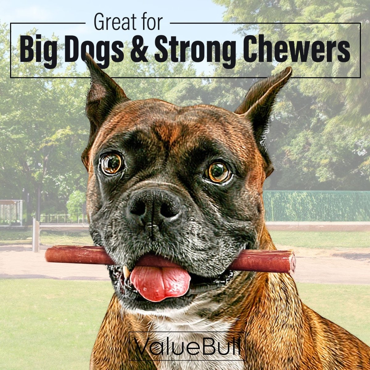 ValueBull Bully Sticks for Large Dogs, Thick 6 Inch, 400 Count Wholesale Pack - Thick - 400 Sticks