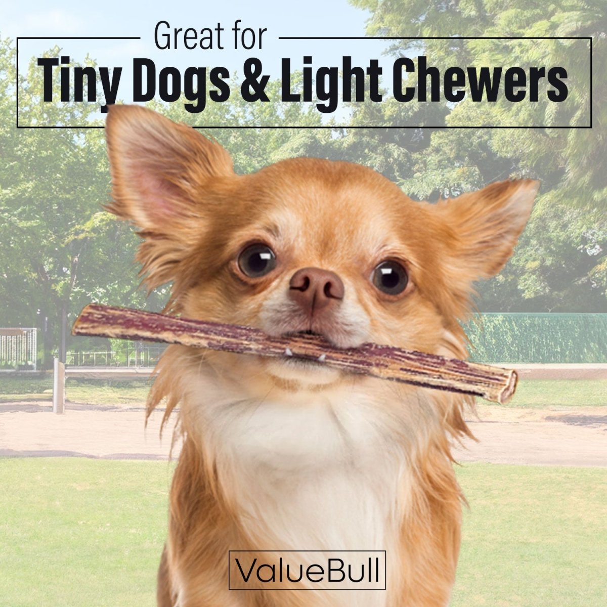 ValueBull Bully Sticks for Small Dogs, Extra Thin 6 Inch, 400 Count Wholesale Pack - 400 Sticks