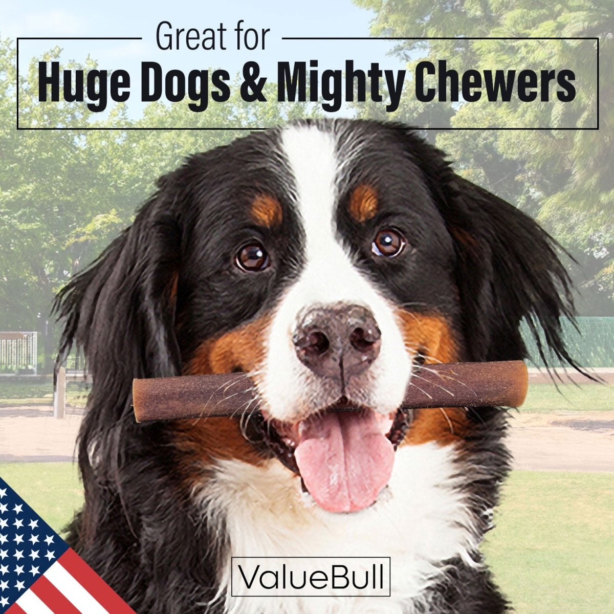 ValueBull USA Collagen Sticks for Dogs, 6 Inch Super Jumbo Chews, Natural Long-Lasting Dog Treats, 200 Count Wholesale Pack - X-Jumbo - 200 Sticks