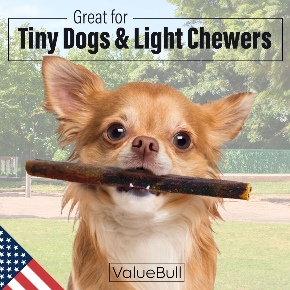 ValueBull USA Beef Collagen Sticks, 6 Inch Extra Thin Chews, 10 Count - Valuepetsupplies