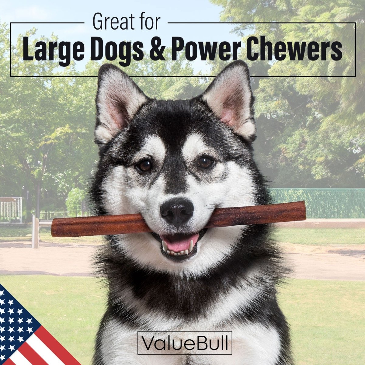 ValueBull USA Collagen Sticks for Dogs, 12 Inch Jumbo Chews, Natural Long-Lasting Dog Treats, 50 Count - Valuepetsupplies