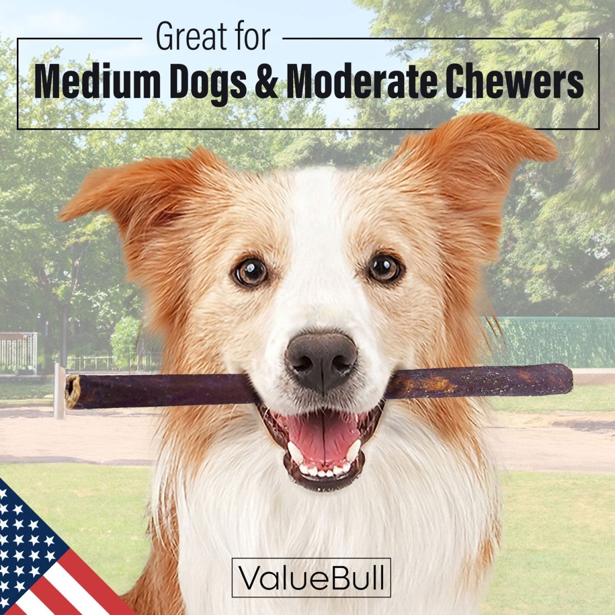ValueBull USA Collagen Sticks for Dogs, 12 Inch Medium Chews, Natural Long-Lasting Dog Treats, 10 Count - Valuepetsupplies