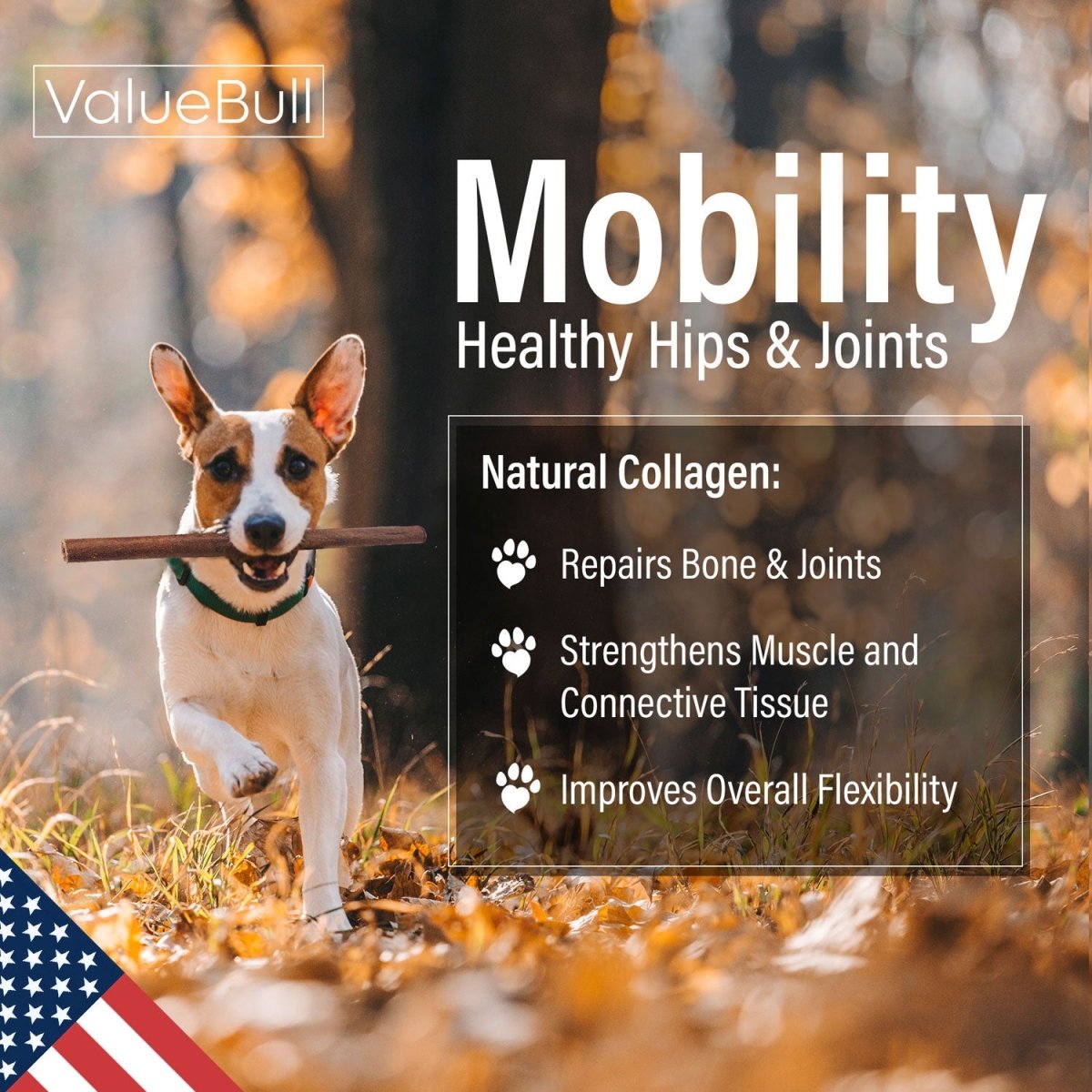 ValueBull USA Collagen Sticks for Dogs, 12 Inch Medium Chews, Natural Long-Lasting Dog Treats, 100 Count Bulk Pack - Valuepetsupplies