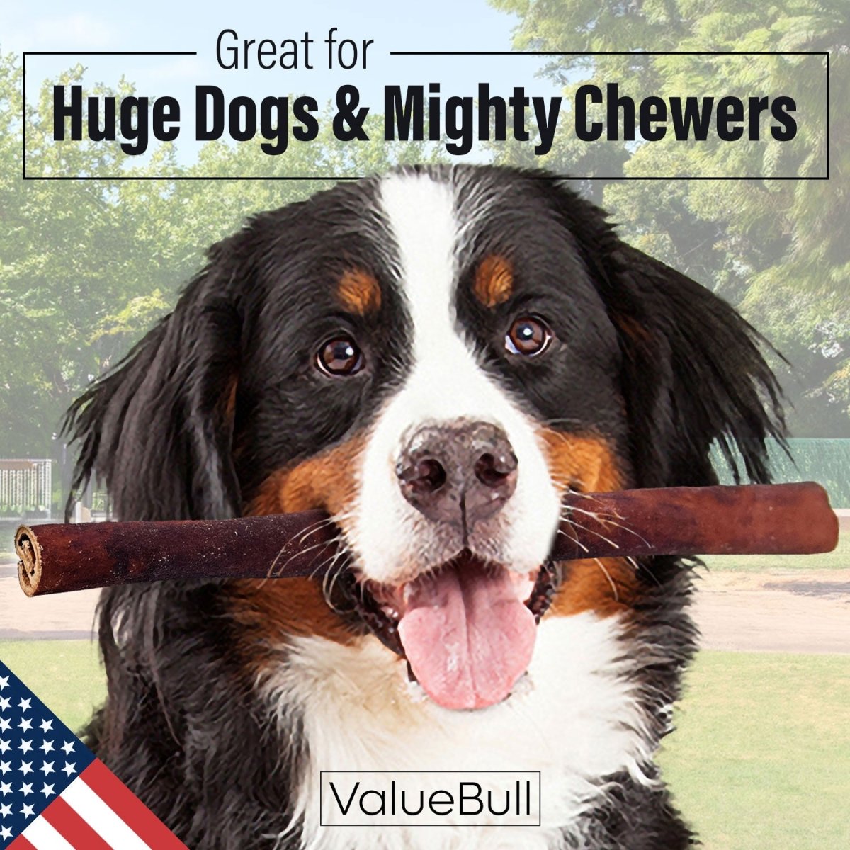 ValueBull USA Collagen Sticks for Dogs, 12 Inch Super Jumbo Chews, Natural Long - Lasting Dog Treats, 200 Count Wholesale Pack - Valuepetsupplies