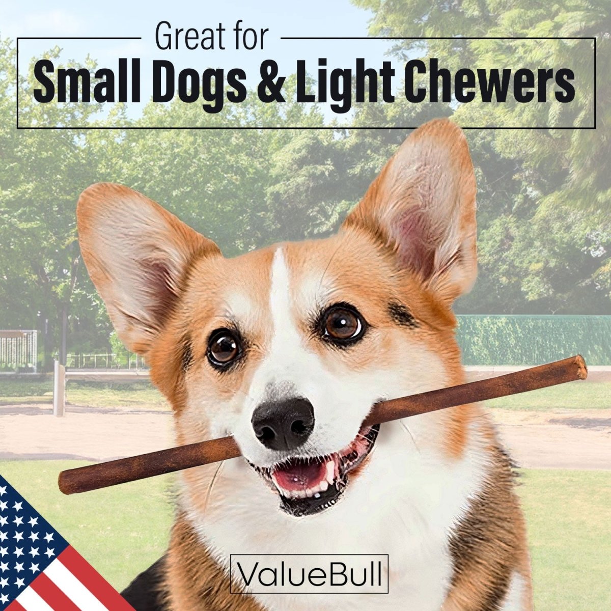 ValueBull USA Collagen Sticks for Small Dogs, 12 Inch Thin Chews, Natural Dog Treats, 10 Count - Valuepetsupplies