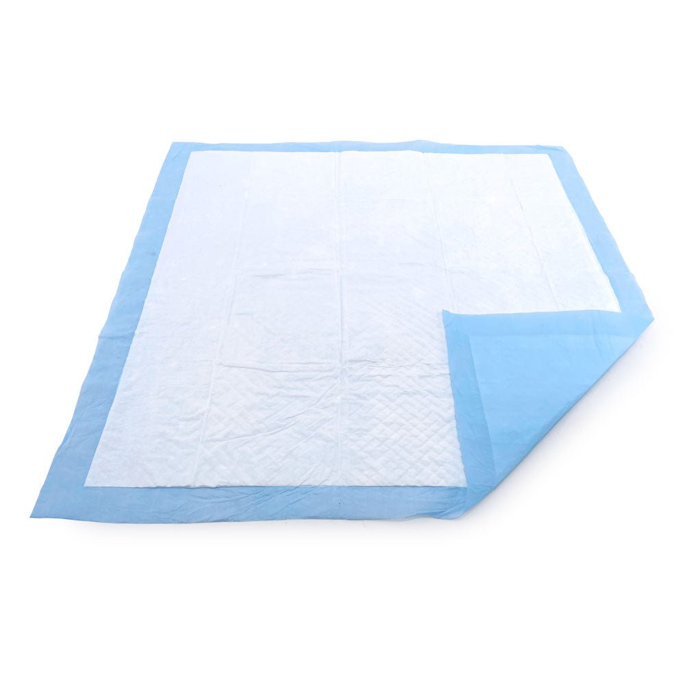 ValuePad USA Puppy Pads, Medium 22x23 Inch, 600 Count Bulk Pack - 600 Count