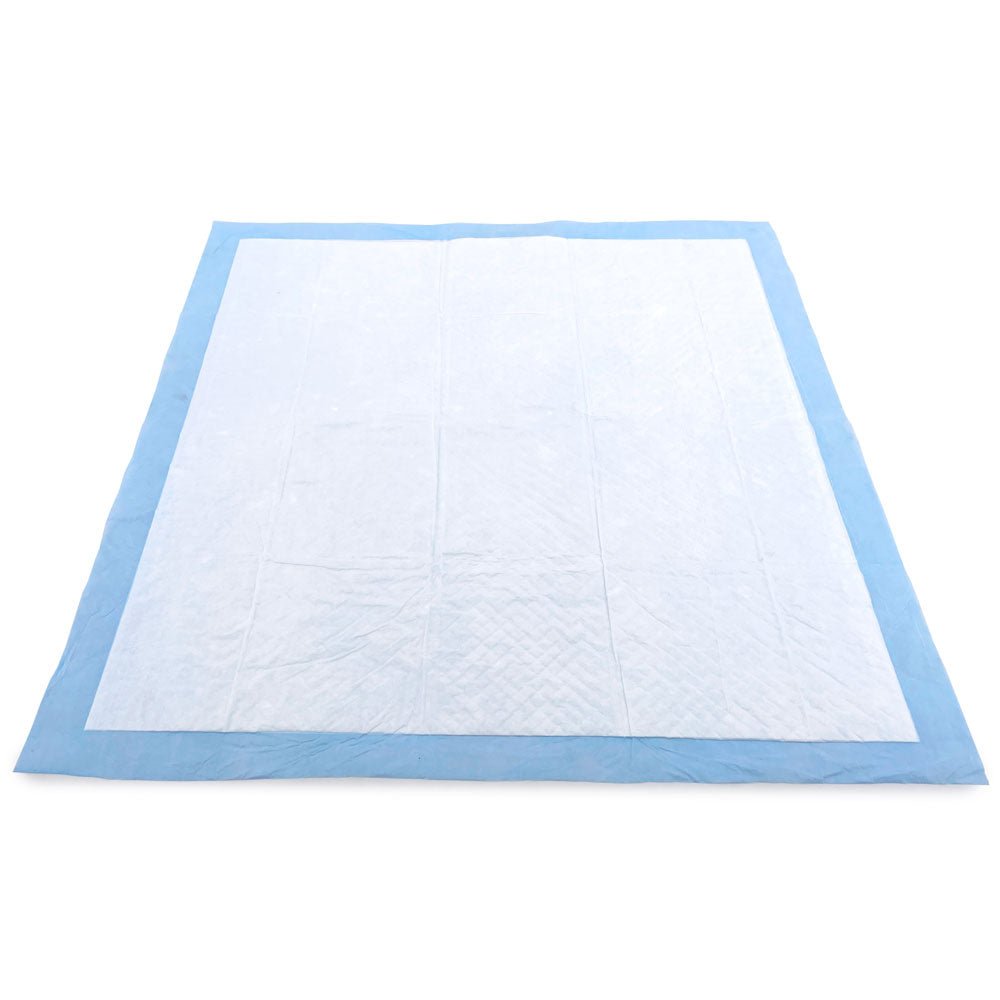 ValuePad USA Puppy Pads, Medium 22x23 Inch, 600 Count Bulk Pack - 600 Count