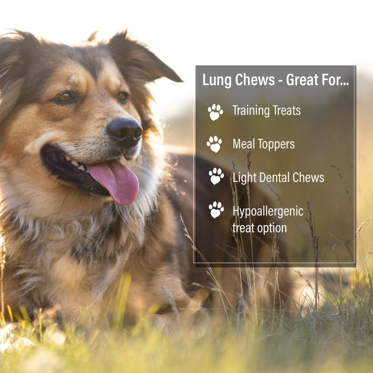 ValueBull Beef Lung Wafers for Dogs, 10 Pounds Bulk Pack - Wafers - 10 Pound