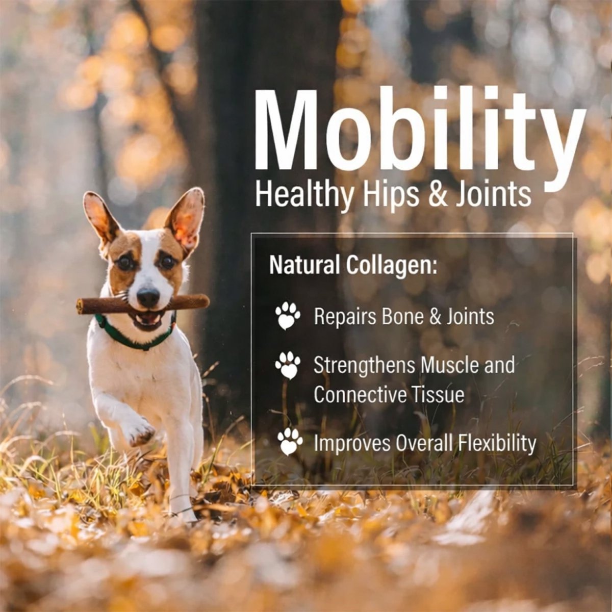 ValueBull Buffalo Collagen Sticks for Dogs, 6 Inch Medium Chews, Natural Long-Lasting Dog Treats, 25 Count - Medium - 25 Sticks