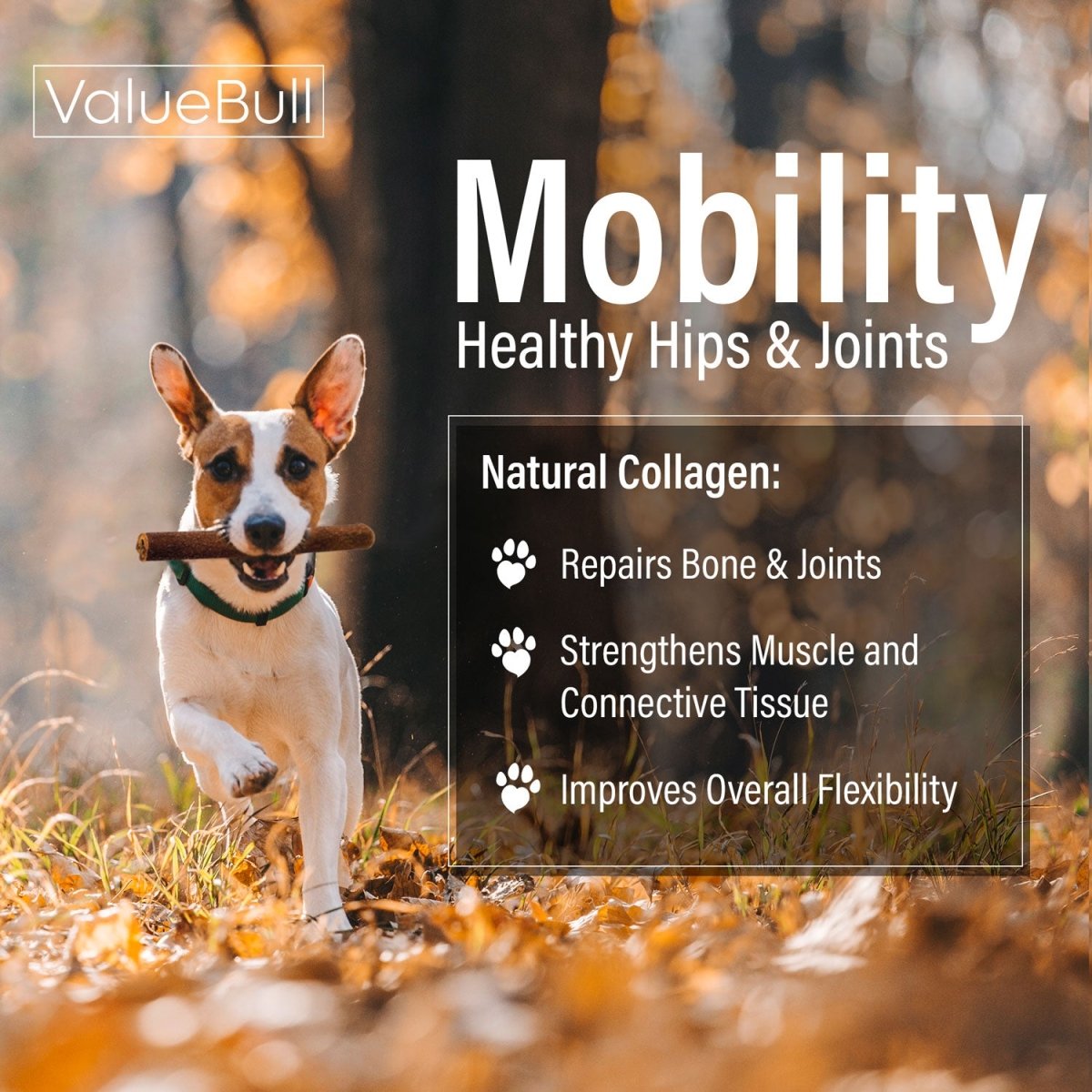 ValueBull Collagen Sticks for Dogs, 6 Inch Medium Chews, Natural Long-Lasting Dog Treats, 100 Count Bulk Pack - Medium - 100 Sticks