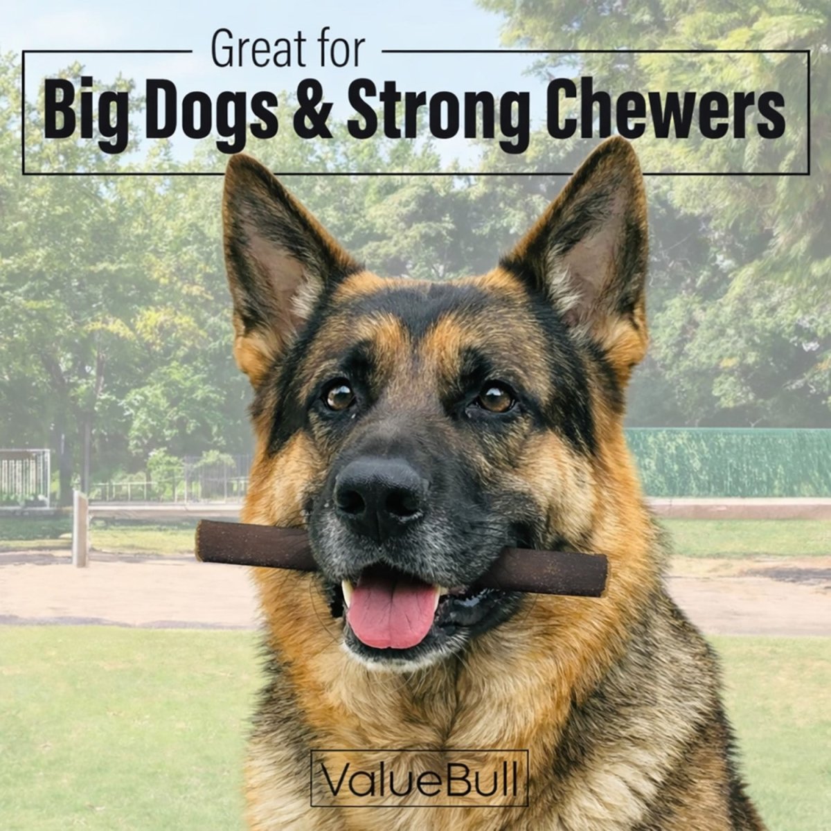 ValueBull Buffalo Collagen Sticks for Dogs, 6 Inch Thick Chews, Natural Long-Lasting Dog Treats, 25 Count - Thick - 25 Sticks