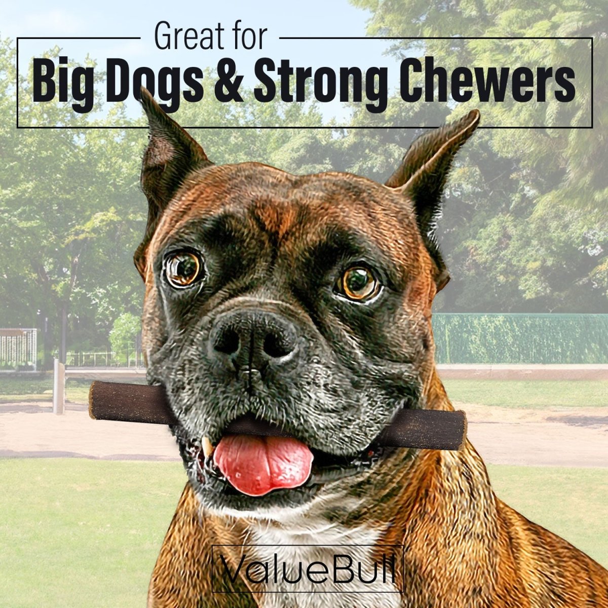 ValueBull Collagen Sticks for Dogs, 6 Inch Thick Chews, Natural Long-Lasting Dog Treats, 50 Count - Thick - 50 Sticks