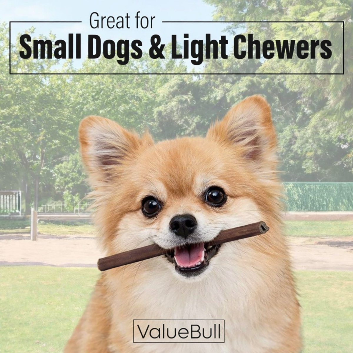 ValueBull Buffalo Collagen Sticks for Dogs, 6 Inch Thin Chews, 100 Count Bulk Pack - Valuepetsupplies