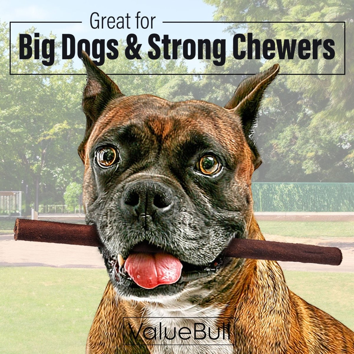 ValueBull Collagen Sticks for Dogs, 12 Inch Thick Chews, Natural Long-Lasting Dog Treats, 25 Count - Thick - 25 Sticks