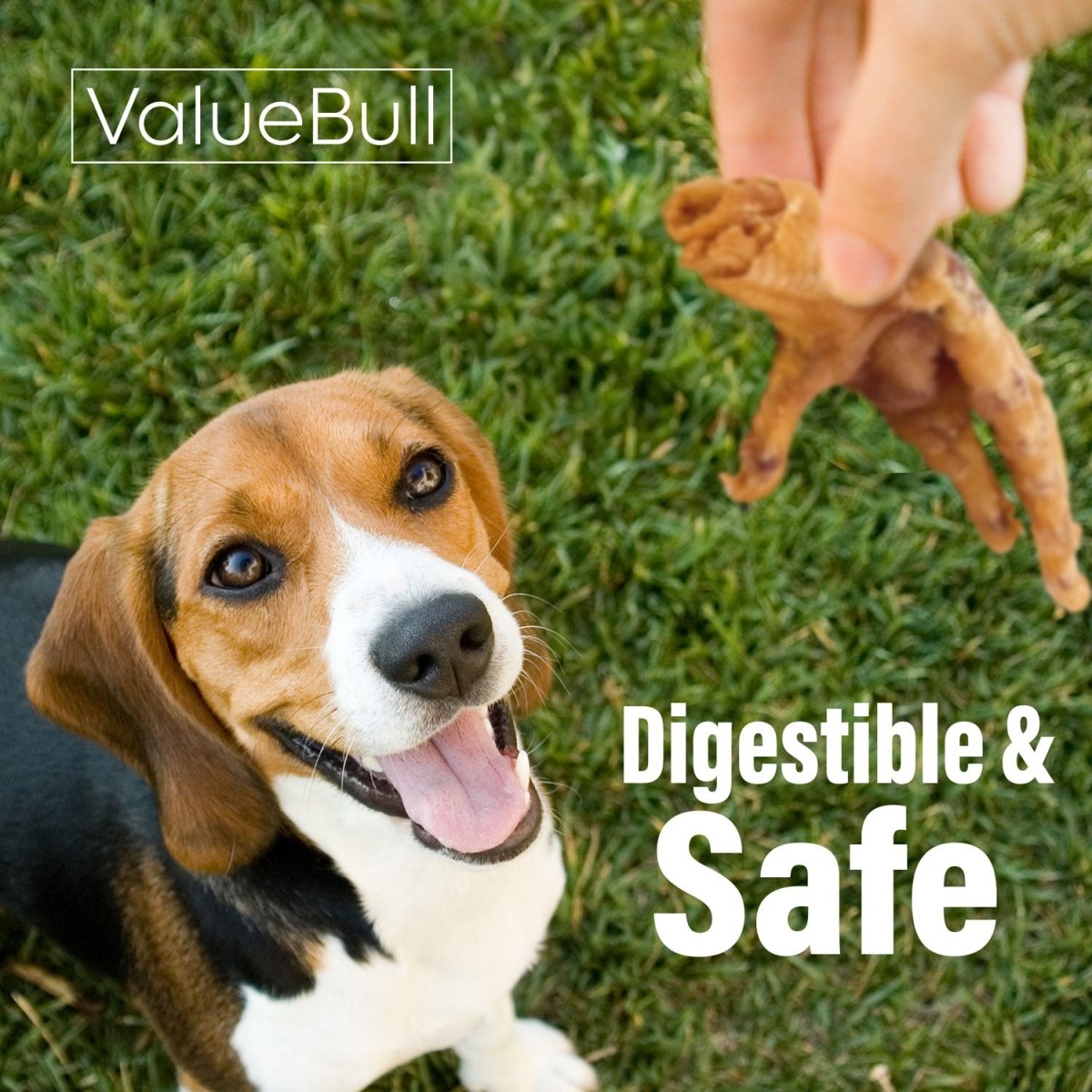 ValueBull Chicken Feet for Dogs, 25 Count - Chicken Feet - 25 Feet
