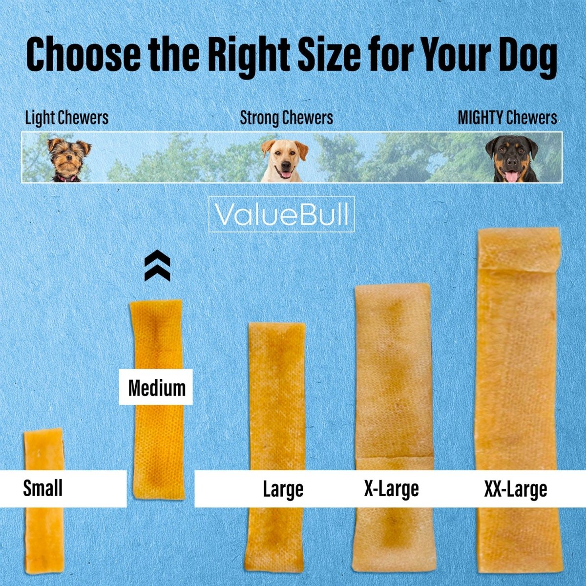 ValueBull Himalayan Yak Cheese Dog Chews, Medium, 25 ct Bulk Pack - Medium - 25 Bars