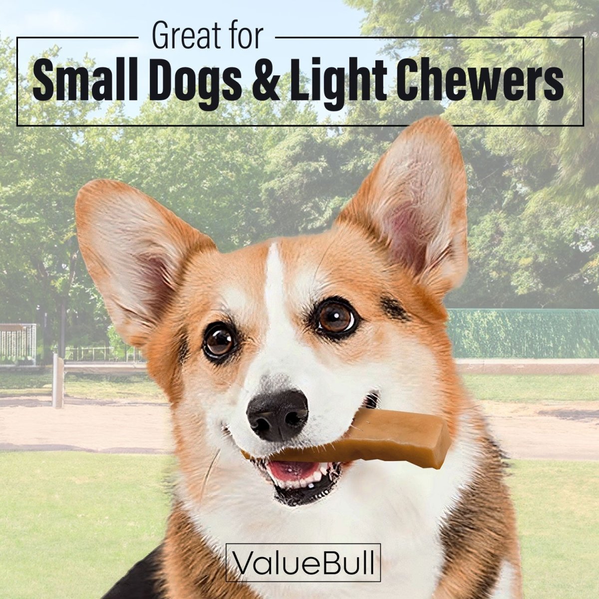 ValueBull Himalayan Yak Cheese Dog Chews, Small, 6 lb Bulk Pack - Small - 6 LB