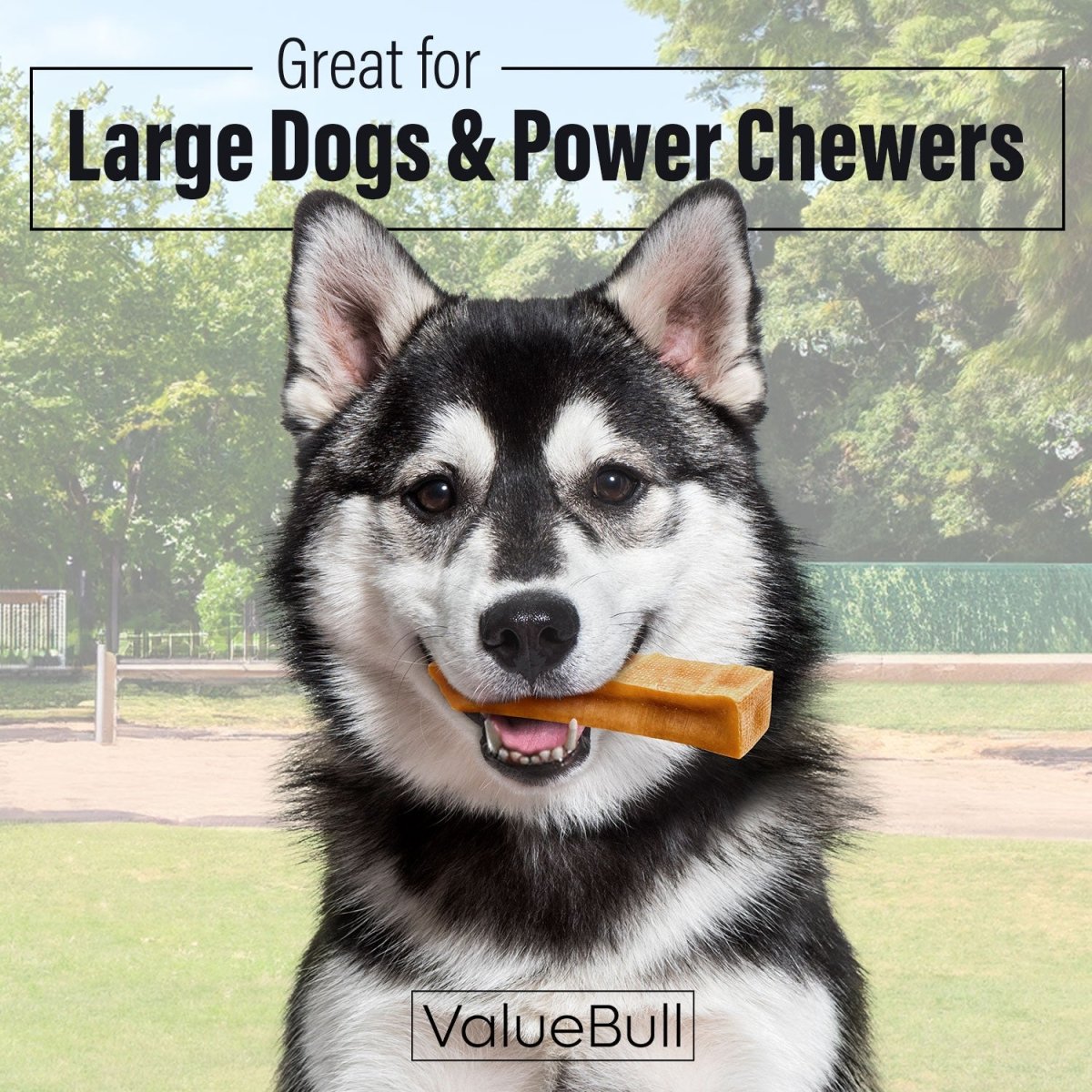 ValueBull Himalayan Yak Cheese Dog Chews, Extra Large, 10 lb Bulk Pack - X-Large - 10 LB