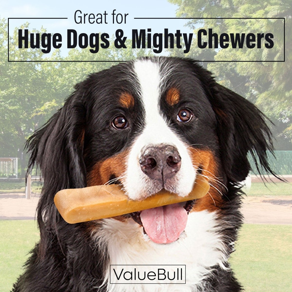 ValueBull Himalayan Yak Cheese Dog Chews, Extra Extra Large, 2 lb - Valuepetsupplies