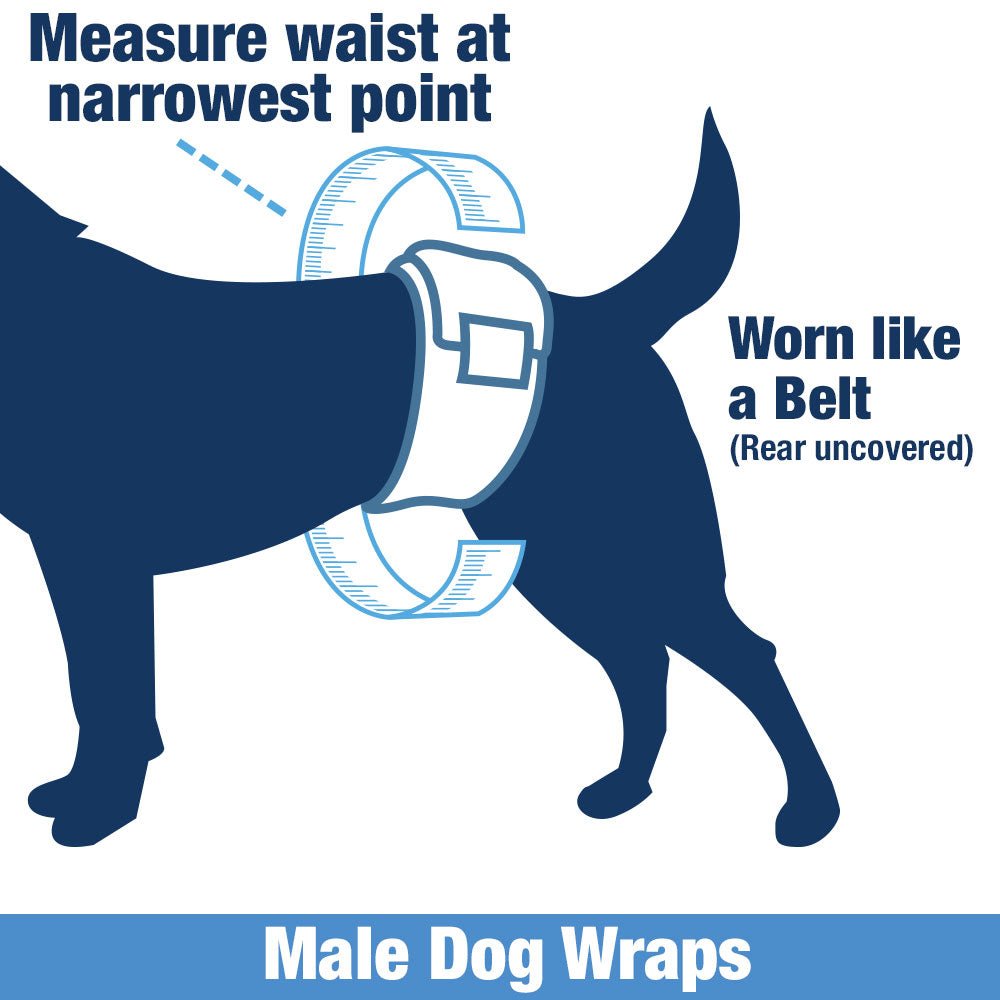 ValueWrap Male Wraps, Disposable Dog Diapers, Large, Lavender, 48 Count - 48 Count